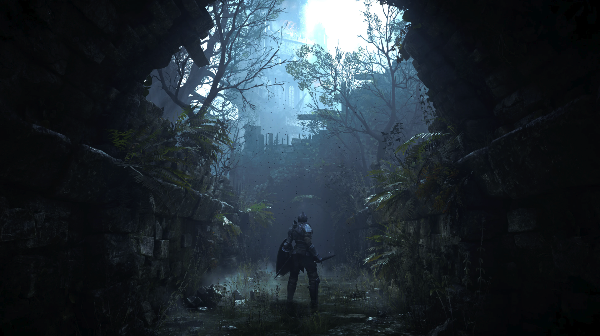 The player exiting a cave and seeing the overgrown landscape